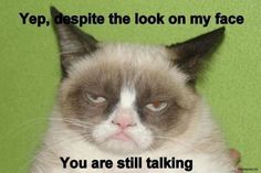 a grumpy cat with the caption you are still talking