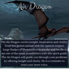 an image of a dragon flying over water with the caption'air dragon '