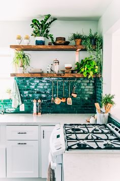 a kitchen with white cabinets and green tile backsplash, potted plants on the wall