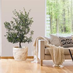 a living room filled with furniture and a potted tree