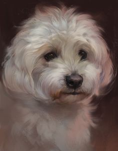 a painting of a white dog with long hair looking at the camera while it's close up