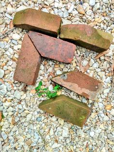 several pieces of brick laying on top of some rocks and grass next to each other