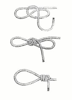 three ropes tied together with one knot in the middle and two on each side, vintage line drawing or engraving illustration