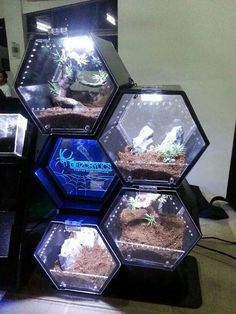 several hexagonal terrariums with plants in them