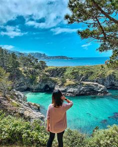 Solo Trip to Monterey County, CA: Your Ultimate Guide Big Sur Beach, Monterey Beach, Monterey Cypress, Los Padres National Forest, Monterey Park, Thelma Louise, Park Ideas, Monterey Bay Aquarium, Travel Solo