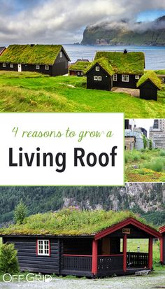 four photos with the words 4 reasons to grow a living roof on top of them