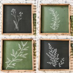 four framed pictures with different plants drawn on them in chalk and wood frames, sitting on a table