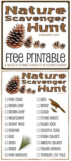 a printable nature scavenger hunt is shown with pine cones and other items