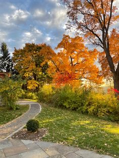 a path in the middle of a grassy area with trees and flowers on either side