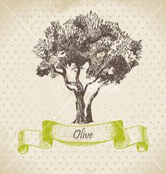 an olive tree with a ribbon and polka dots on the background stockvectors