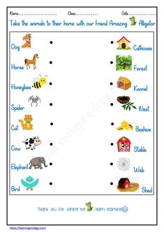 an animal themed worksheet with words and pictures