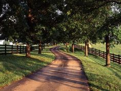 a dirt road surrounded by trees and fenced in area with grass on both sides