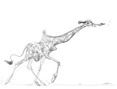 a black and white drawing of a giraffe running with it's head down