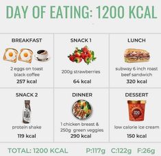 full day diet under 1200 calories #weightloss #fatloss #health Low Calorie Ice Cream, Motivasi Diet, 500 Calorie, Day Of Eating, Easy Healthy Meal Prep, What A Day