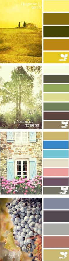 the color scheme for an exterior painting project