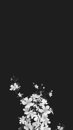 black and white photograph of flowers against a dark background