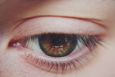 a close up view of an eye with brown and green eyeshade, looking at the camera