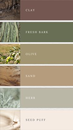 A mood board featuring an earthy tone color palette with swatches of brown, green, olive, sand, sage, and beige. The colors are arranged in a visually appealing layout to evoke the tranquility and natural beauty of a serene landscape. Ideal for inspiring branding projects, wellness designs, or elegant wedding themes, the palette combines rich, warm tones with soft, neutral hues to create a harmonious and sophisticated aesthetic. Olive Neutral Color Palette, Pantone Earth Tone Colour Palettes, Kitchen Pallete Color, Green Earth Color Palette, Natural Tone Color Palette, Earth Green Color Palette, Cedar Color Palette, Color Palette Beauty Brand, Sage Beige Color Palette