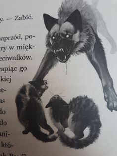 an old book with two cats and a wolf on it's back cover, in russian