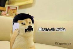 a dog with a fake moustache holding up a cell phone