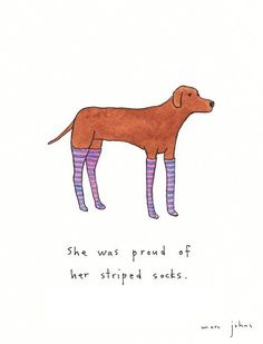 a drawing of a dog with socks on it's legs and the words she was proud of her striped socks