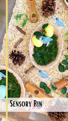 an assortment of fake birds and plants in bowls on a table with text overlay that says sensory bin