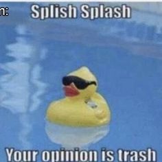 a rubber ducky floating in a pool with caption that reads, splash splash your opinion is trash