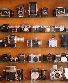 many cameras are lined up on shelves in front of a wall with glass shelves holding them