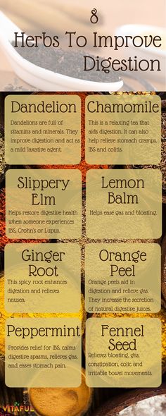 Gut Guide Types Of Herbs, Nutrition Sportive, Natural Healing Remedies, Natural Therapy, Natural Home Remedies, Health Info, Natural Medicine