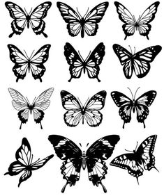 the silhouettes of butterflies are shown in black and white, including one large butterfly