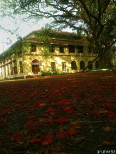 an old building with red leaves on the ground in front of it and some trees