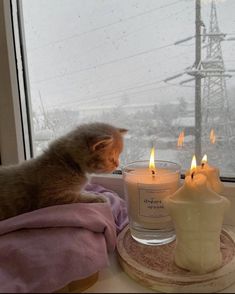 a cat sitting on top of a window sill next to a candle