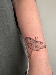 a small moth tattoo on the arm