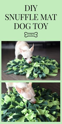 two pictures of a dog playing with some green leaves on the floor and in front of it