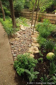 a garden with lots of plants and rocks