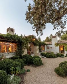 a house with lots of greenery on the front and side of it, surrounded by trees