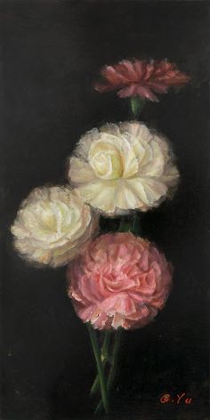 three pink and white flowers on a black background