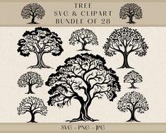 the tree svg and clipart bundle is shown