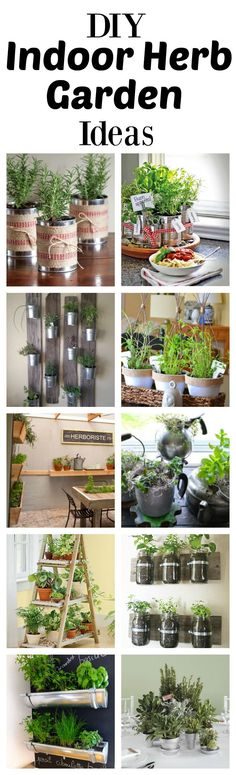 an assortment of indoor herb garden ideas