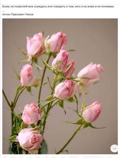 a vase filled with pink roses on top of a table