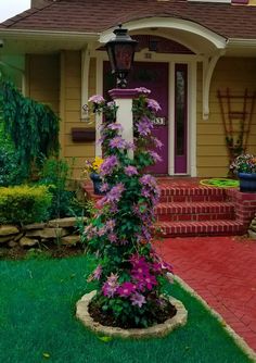 an image of a house with flowers in the front yard and landscaping on the other side