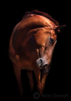 a painting of a brown horse running in the dark