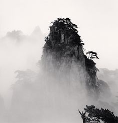 black and white photograph of trees on top of a mountain in the foggy weather