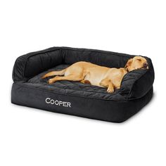 a large dog laying on top of a black bed with the word cooper written on it