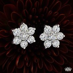 Diamond dazzlers - 0.75ctw Flower Cluster Diamond Earrings Classic Flower Earrings With Brilliant Cut, Classic Flower Earrings With Diamond Accents, Classic Flower Shaped Earrings With Prong Setting, Classic Flower Earrings With Prong Setting, Flower Shaped Brilliant Cut Earrings For Anniversary, Formal Flower Earrings With Prong Setting, Brilliant Cut Flower Earrings For Anniversary, Formal Flower Earrings With Brilliant Cut, Luxury Brilliant Cut Flower Earrings For Anniversary