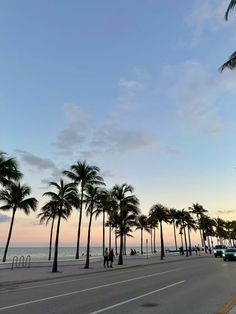 palm trees line the beach as people walk on the sidewalk near the ocean at sunset