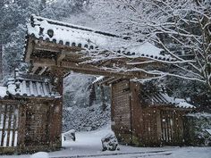 an old wooden gate with snow on it