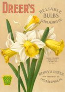 a vintage poster advertising daffodils for drier's bulbs, from the early 1900's