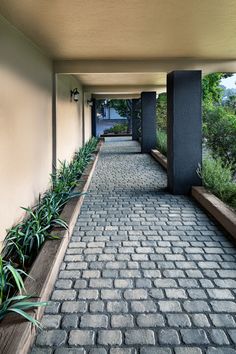 an empty walkway between two buildings with plants on either side