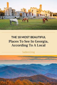 Georgia is home to sweeping farmlands, soaring mountain ranges, lush pine forests, and breezy barrier islands. Here are the 18 most beautiful places in Georgia to visit, according to a born-and-raised local. #travel #southerntravel #georgia #georgiatravel #whattoseeingeorgia Georgia Aesthetic, Places In Georgia, Southern Road Trips, Travel Georgia, Georgia Vacation, Southern Travel, Travel Infographic